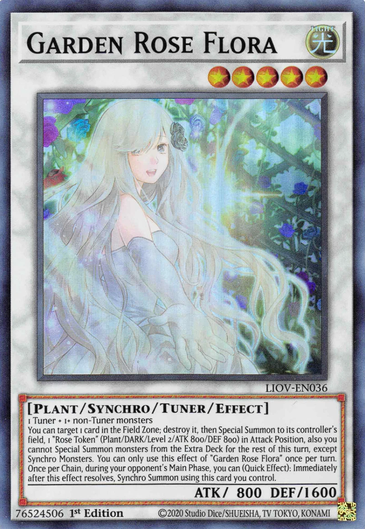 Garden Rose Flora - Lightning Overdrive - LIOV-EN036